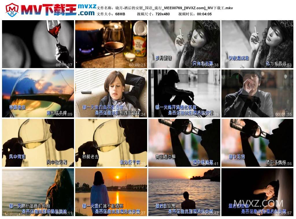 晓月-酒后的安慰_国语_流行_MEE00769